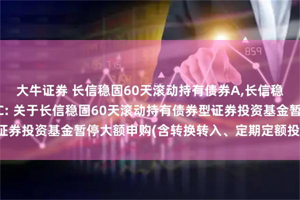 大牛证券 长信稳固60天滚动持有债券A,长信稳固60天滚动持有债券C: 关于长信稳固60天滚动持有债券型证券投资基金暂停大额申购(含转换转入、定期定额投资)业务的公告